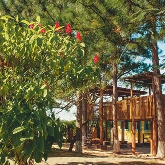 Imagen colegio